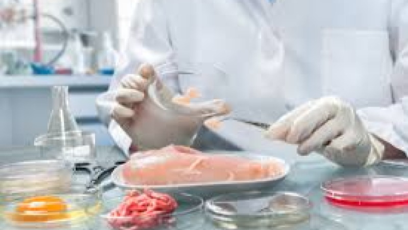 Introduction to Food Chemistry and Reactions Training Course