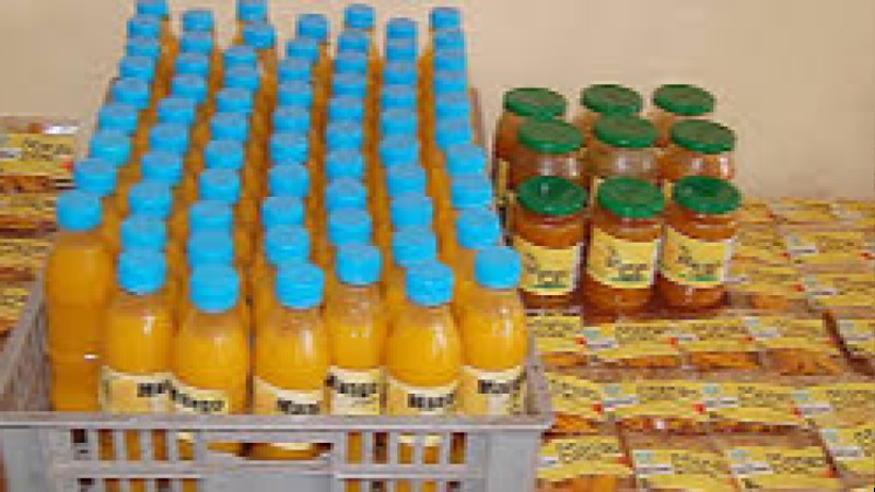 Juice and Nectar Processing and Preservation Training Course