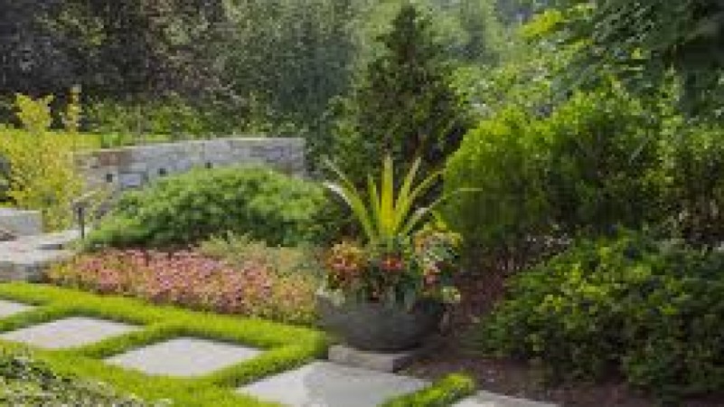 Landscape-Level Conservation Planning Training Course