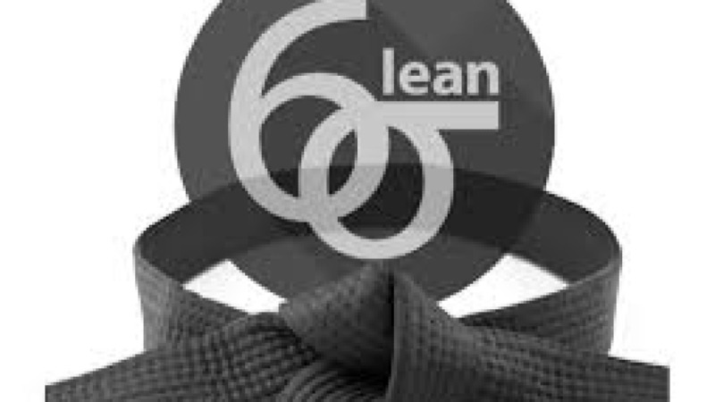 Lean Six Sigma Black Belt in Manufacturing Training Course