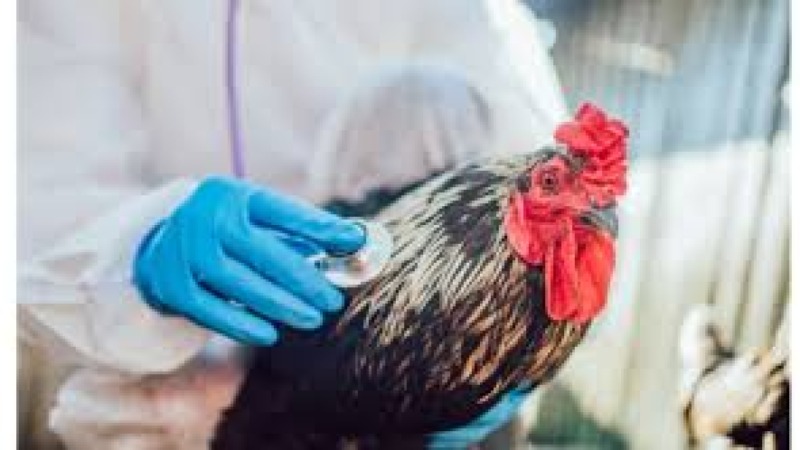 Livestock Business & Economics Training Course