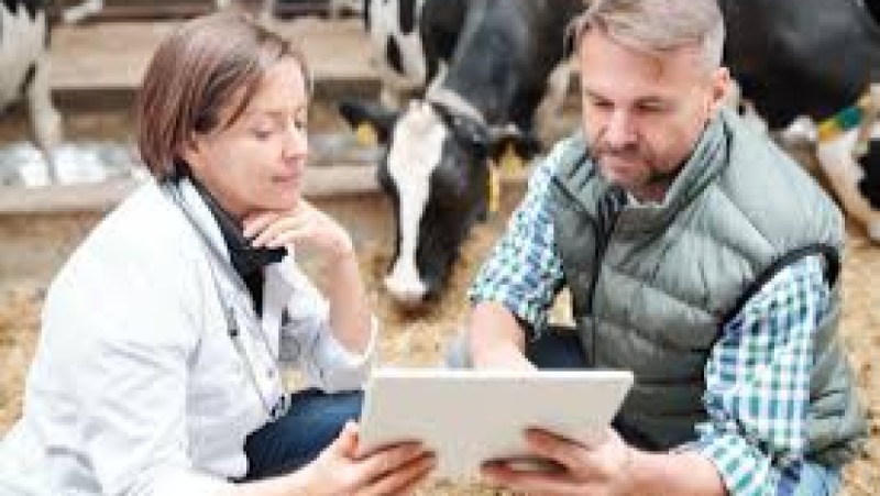 Livestock Market Analysis Training Course