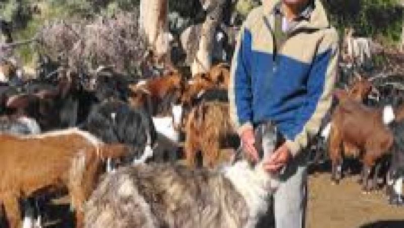 Livestock Predation and Coexistence Strategies Training Course