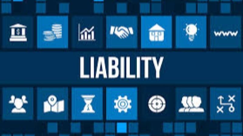 Managing Fiscal Risks and Contingent Liabilities Training Course