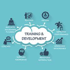 Managing the Training and Development Function Course