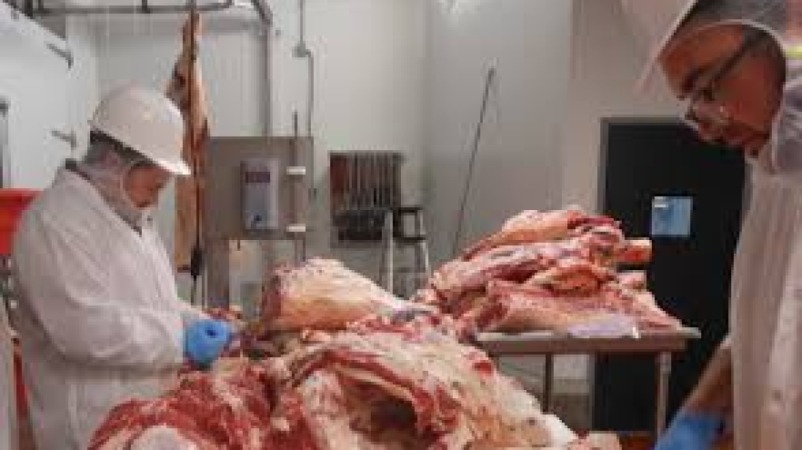 Meat Processing Engineering Training Course