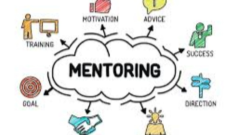 Mentoring Program Management Training Course