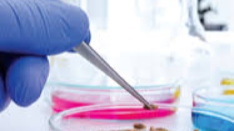 Micro-encapsulation Techniques for Flavor and Bioactives Training Course