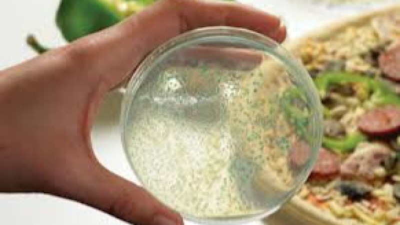 Microbiological Criteria and Predictive Modeling in Food Training Course