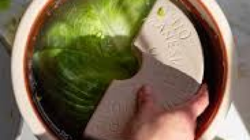 Microbiology of Cultured and Fermented Vegetables Training Course