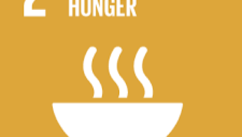 Microfinance and the Sustainable Development Goals (SDGs) Training Course
