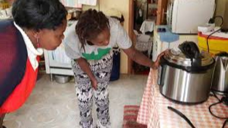Microfinance for Clean Cooking Solutions Training Course