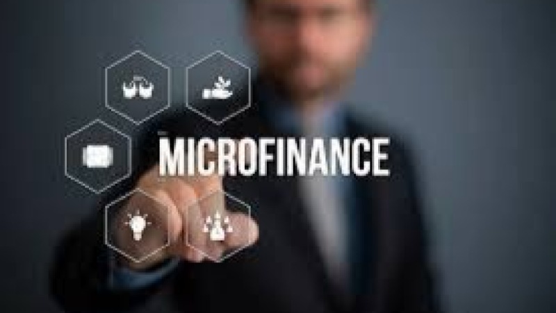 Microfinance vs Traditional Banking Training Course