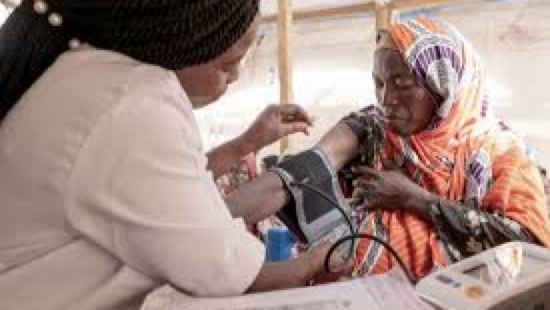 Migrant Health and Healthcare Access Training Course