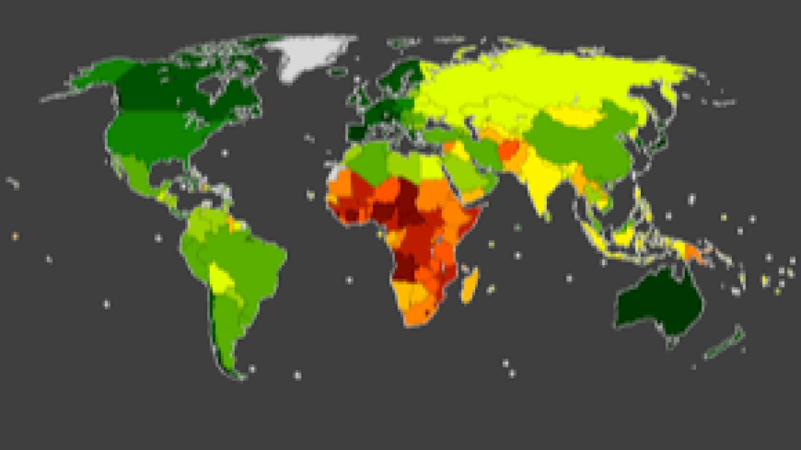 Mortality Analysis and Life Expectancy Estimation Training Course