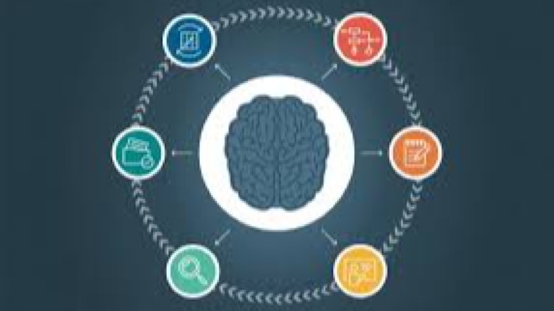 Multilingual Public Service Delivery Strategies Training Course