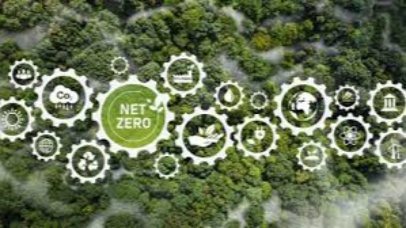 Net-Zero Strategies for Chemical Industries Training Course