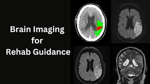 Neuroscience Data Analysis and Brain Imaging Training Course