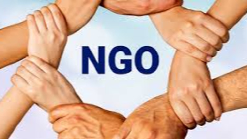 Non-Governmental Organizations (NGOs) in International Relations Training Course