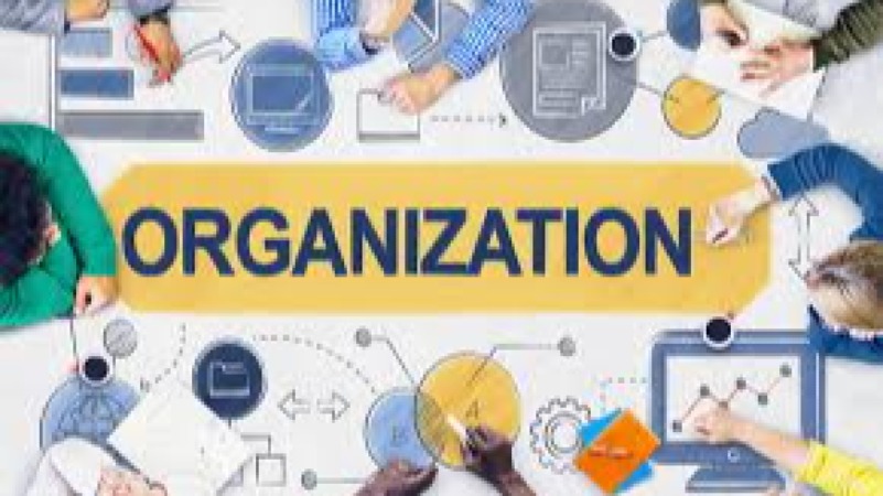 Organizational Management and Role Design Training Course