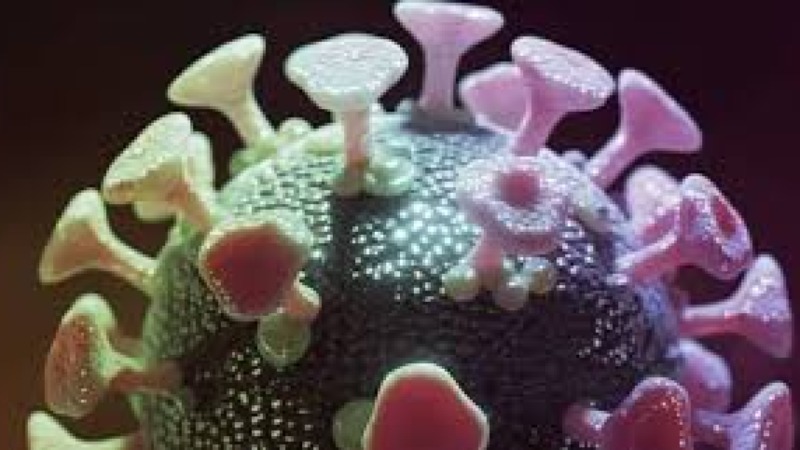 Pandemic Response Planning for Projects Training Course