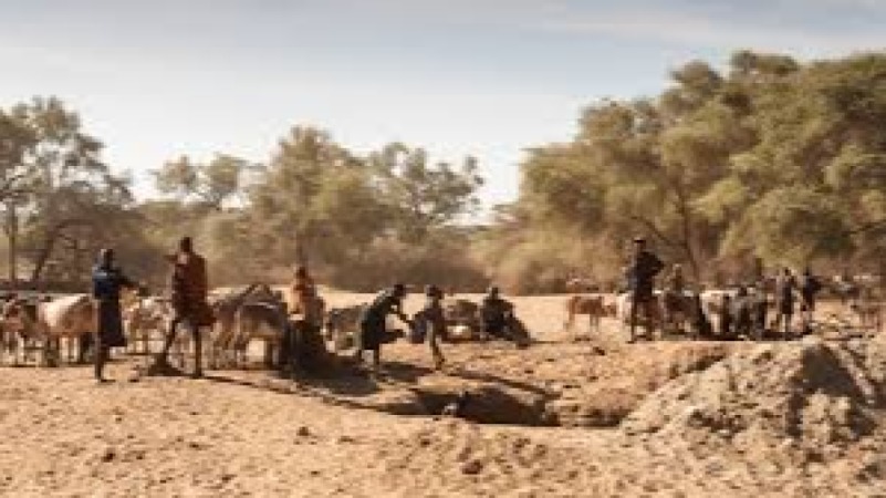 Pastoralism and Wildlife Conservation Training Course