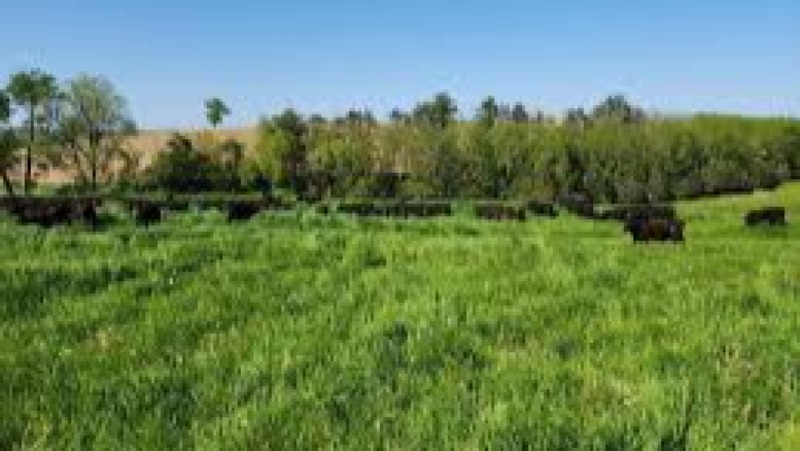 Pasture & Forage Systems Training Course