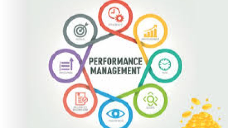 Performance Management in Health Training Course
