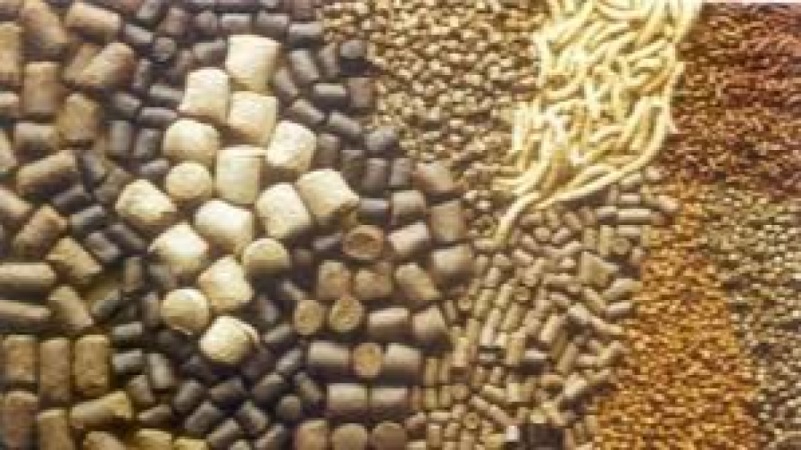 Personalized Nutrition and Food Formulation Training Course