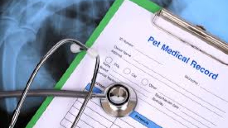 Pet Health Record Techniques Training Course