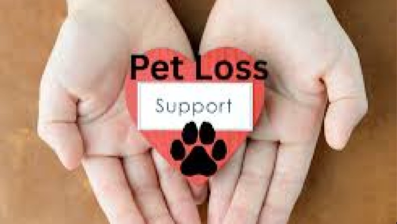 Pet Loss & Grief Support Training Course