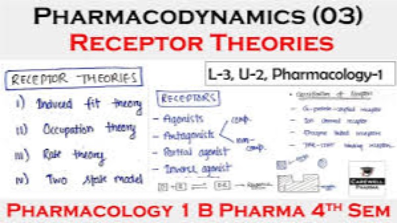 Pharmacology and Receptor Theory Masterclass Training Course