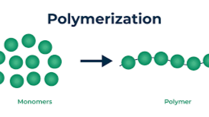 Polymerization Reactor Engineering Training Course