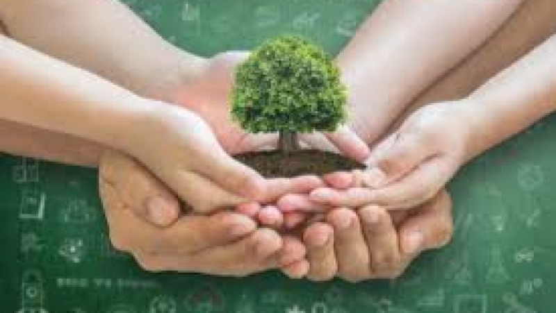 Population Policy and Environmental Sustainability Training Course