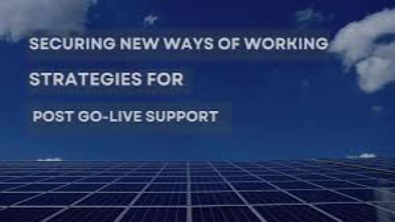 Post-Go-Live Support and Hypercare for ERP Training Course