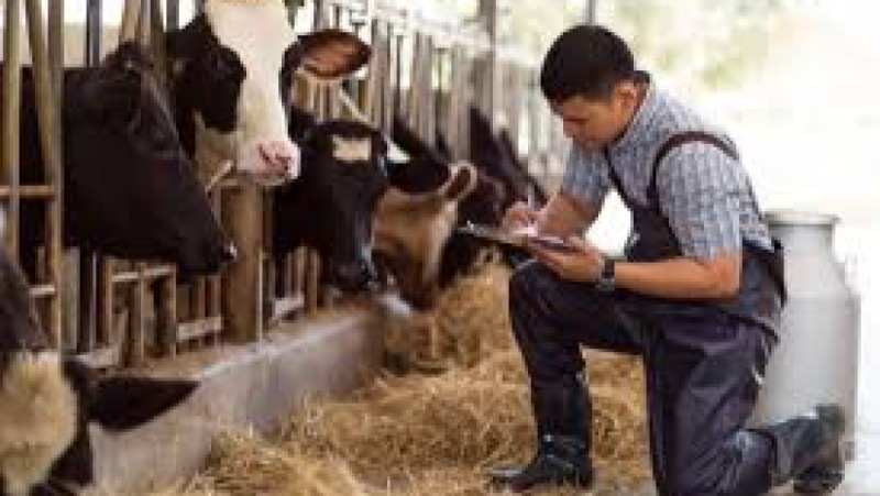 Practical Livestock Farm Management Training Course