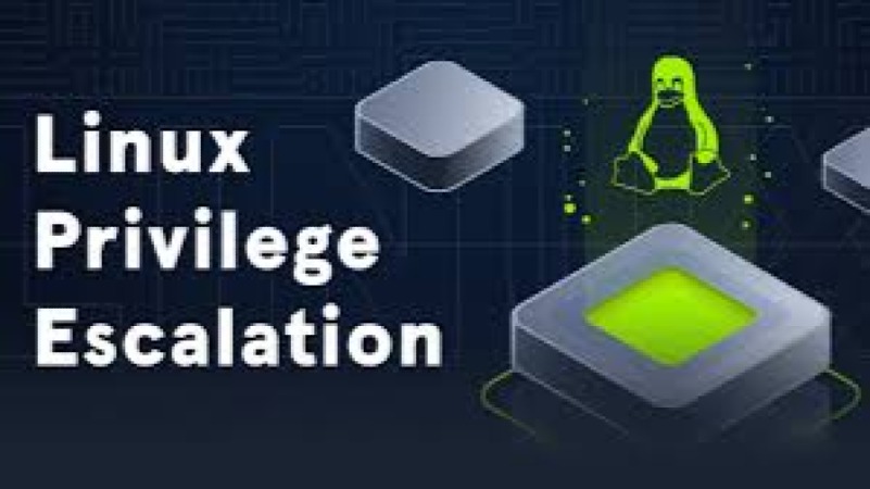 Privilege Escalation Techniques in Windows/Linux Training Course