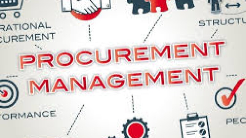 Procurement Strategies for ERP Licenses and Services Training Course