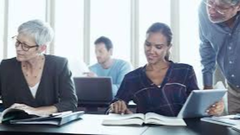 Program Integration & Synergy Management Training Course