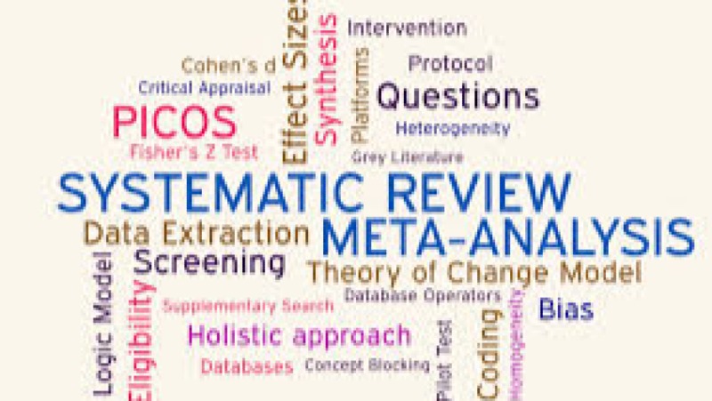Qualitative Meta-Synthesis Training Course