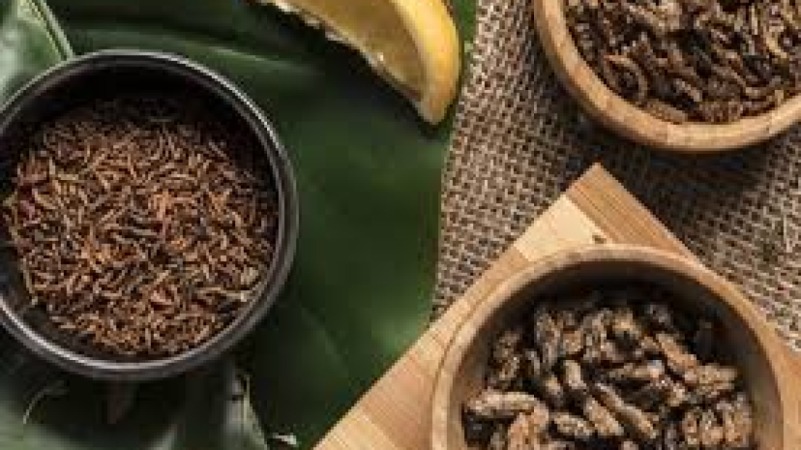 Regulatory Compliance for Novel Sustainable Ingredients Training Course