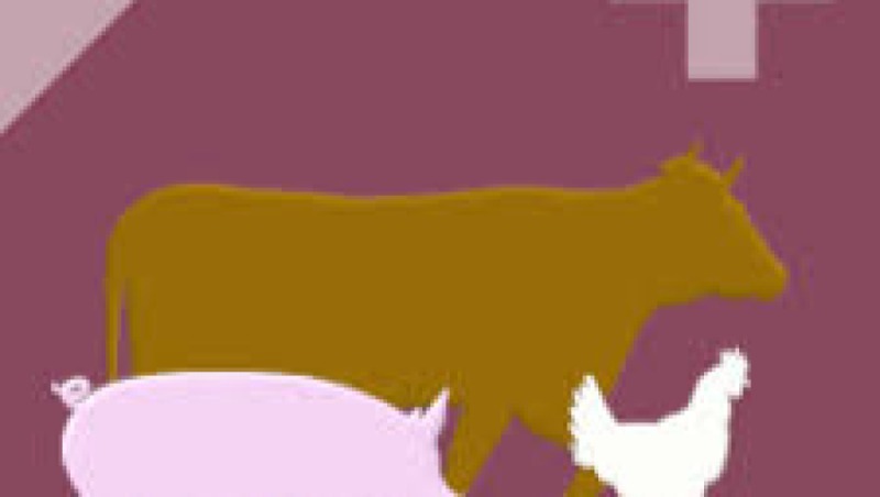 Regulatory Frameworks in Animal Health Training Course