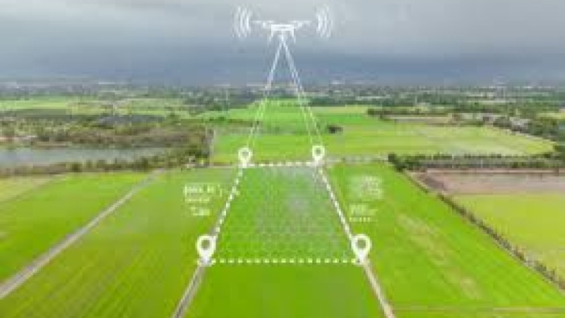 Remote Sensing for Conservation Training Course