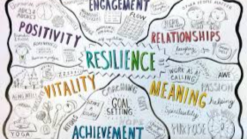 Resilient Building Systems Training Course