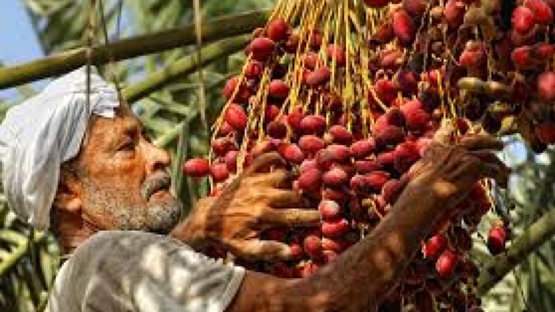 Rights at Borders and State Obligations Training Course