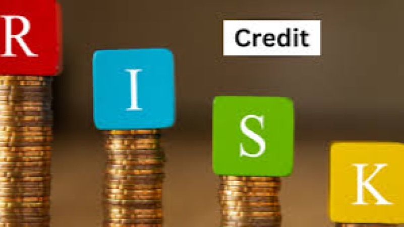 Risk-Based Pricing for Microloans Training Course