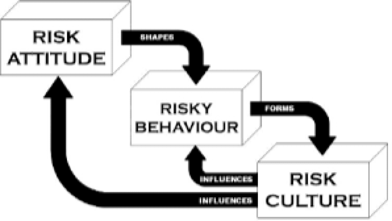 Risk Culture - Assessment and Improvement for Positive Change Training Course