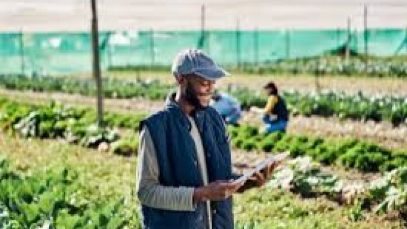 Rural Market Development Training Course