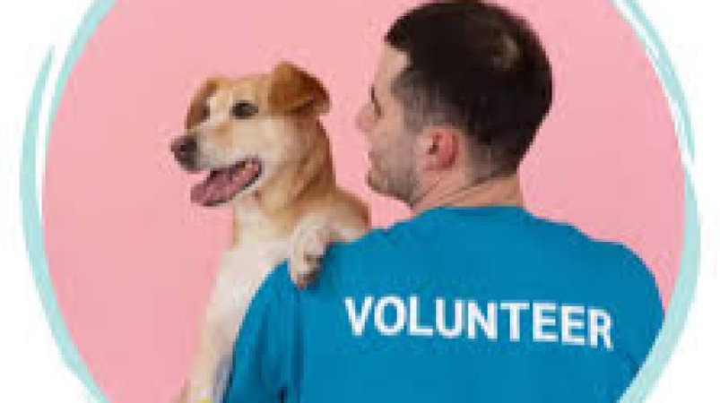 Safe Animal Handling for Owners Training Course