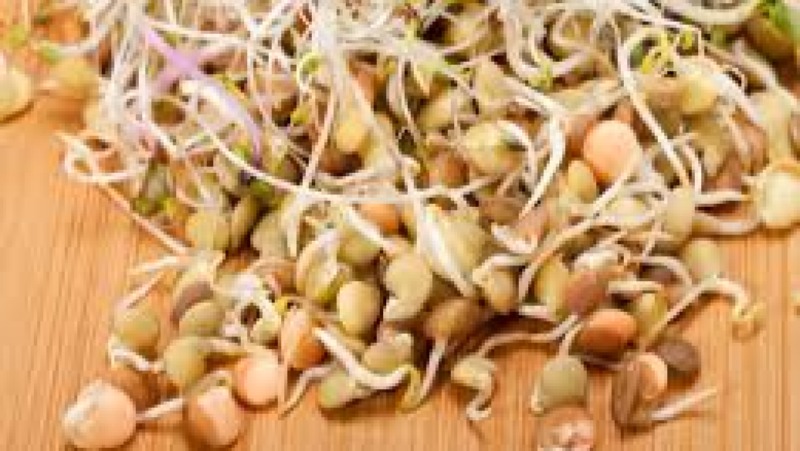 Safety and Quality of Sprouted Grains Training Course